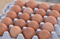 Brown healthy eggs ready for purchase