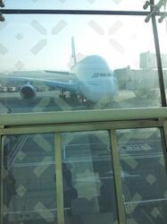 36-Hour Travel