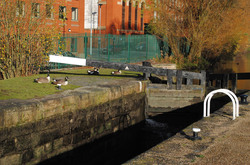 Ducks by a canal (or geese)