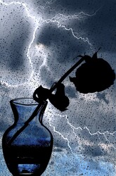 Dead Rose And The Storm