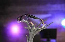 eye-controlled smart glass
