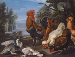 Vintage antique painting of a rooster, hens, pigeons, doves in nature, poster, print, card