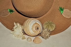 Close-up of sea shells and a brown straw hat lying on a white table.