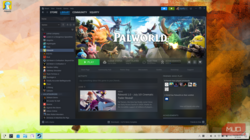 Steam