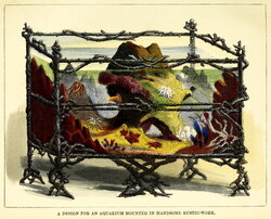 Ocean Gardens: The History of the Marine Aquarium