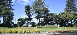 City park garden offering scenic views of flowering plants, manicured lawn, distant ocean, and clear sky on a sunny day in Napier, New Zealand