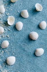 Seashells On Blue Fabric