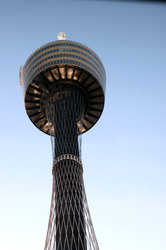Sydney tower from bottom in the earlier morning