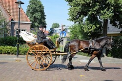 Dutch traditional clothing and carriages