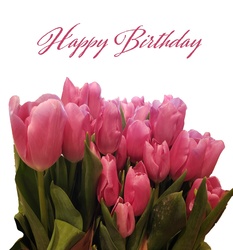 Birthday greeting with Tulip Flowers