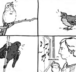 Beautiful Birds singing, Birds crying