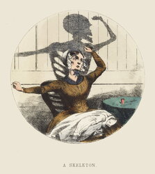 A Skeleton