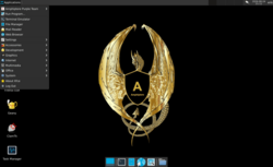 Amphiptere OS