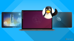 penguin waving