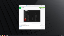 software manager