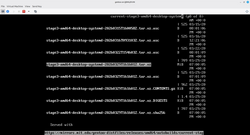 virtual machine