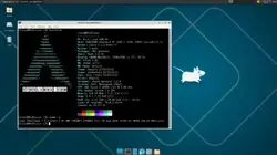 Arch Linux