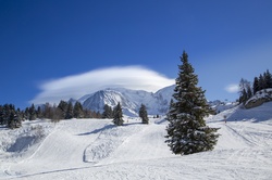 Alps