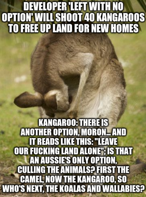 Developer 'left with no option' will shoot 40 kangaroos to free up land for new homes; Kangaroo: There is another option, moron... and it reads like this: 