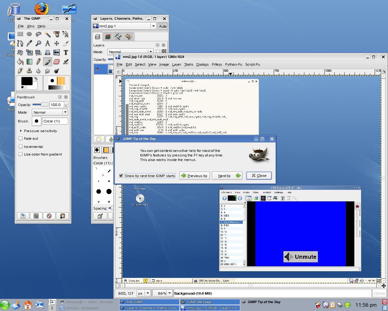 gimp1