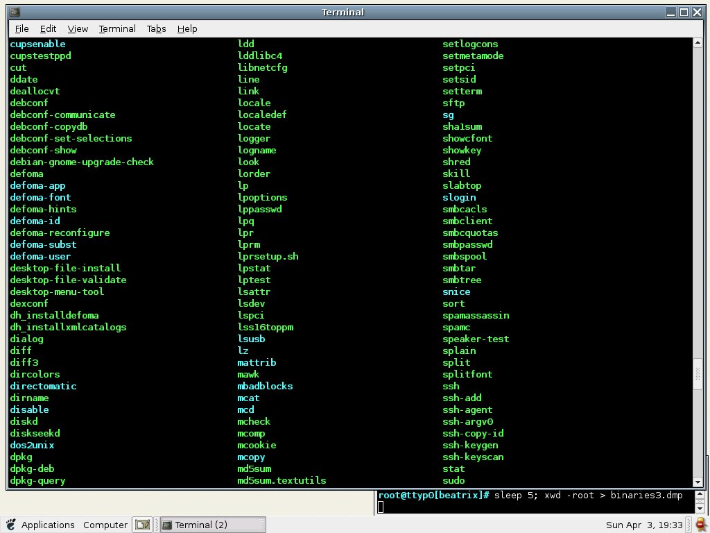 binaries3