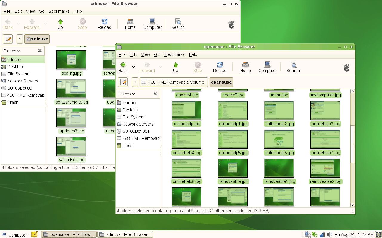 gnome6