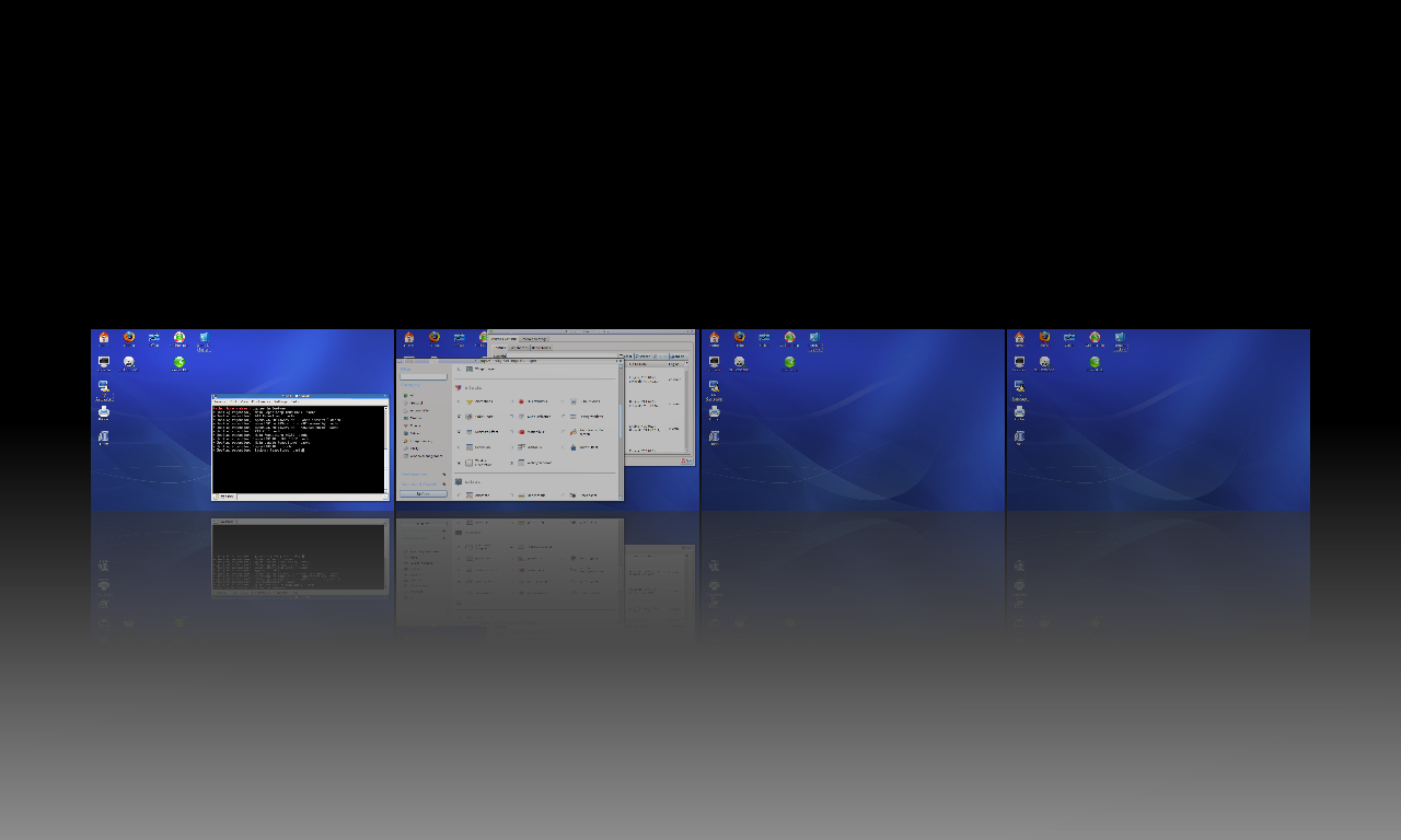 19-laptop-compiz-fusion-2