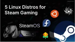5 Linux Distros for Steam Gaming