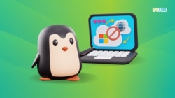 Penguin and a laptop