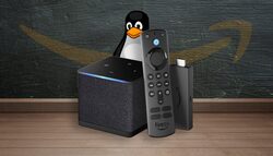 Fire TV, Echo devices, IoT, internal devices