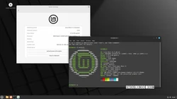 Linux Mint 21.3 beta