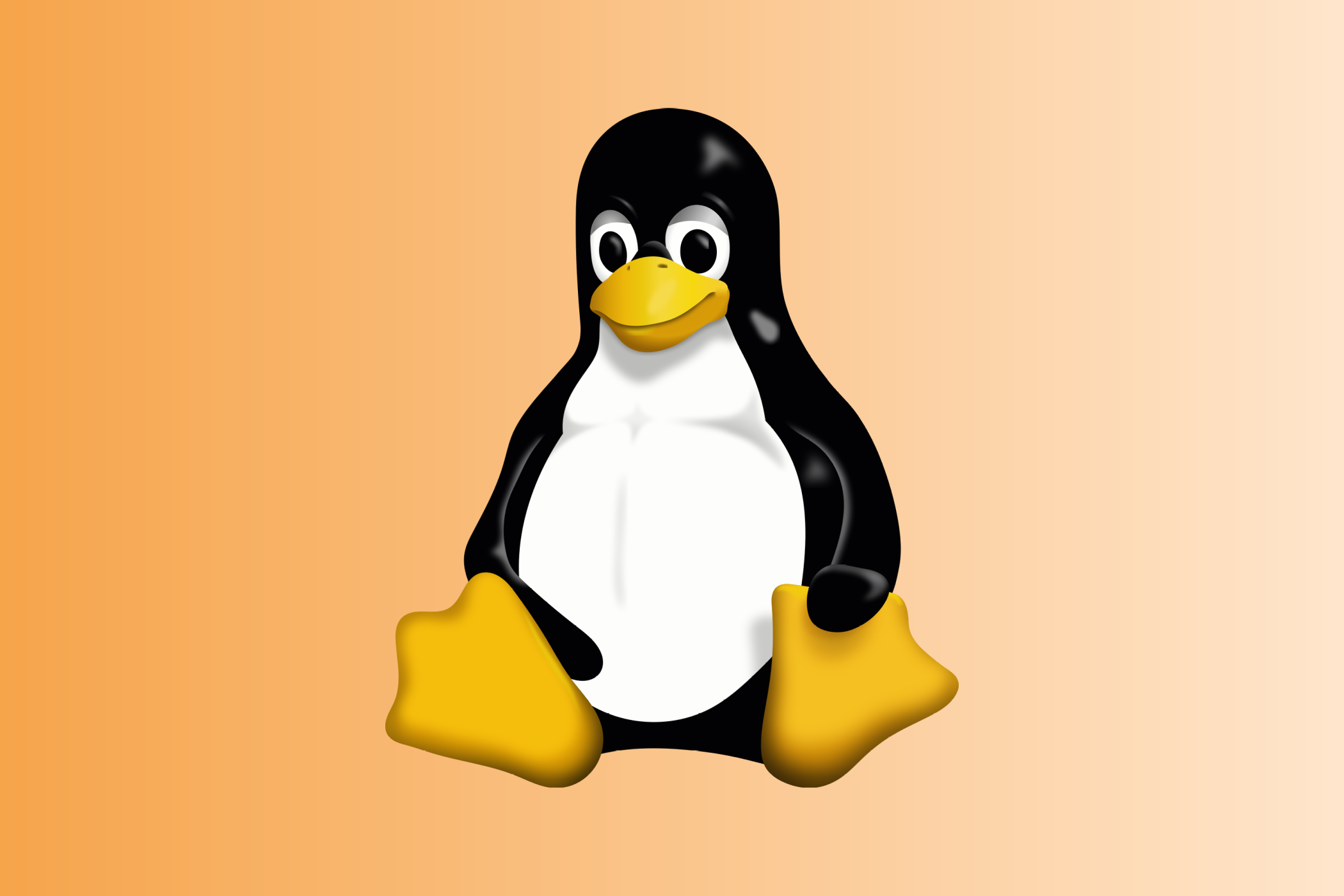 Linux oefeningen (Summa)