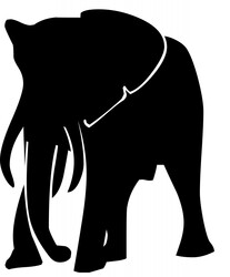 Elephant silhouette on white background
