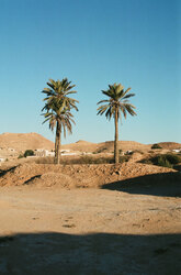 Tunisian Ksour - houses in the land