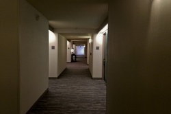 Look of the Shining Hotel Hallway