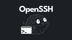 OpenSSH logo