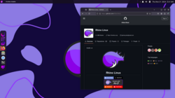 This screenshot was captured on Rhino Linux 2024.2