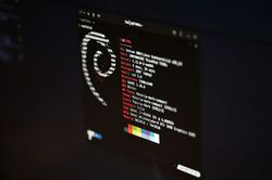 terminal