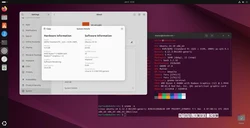 Ubuntu 24.10