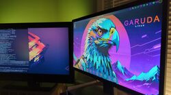 Garuda Linux