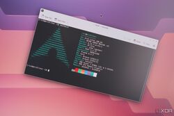 Arch Linux