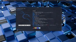 Kali Linux 2025.1