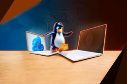 penguin walking from windows laptop going to linux laptop