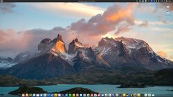 laptop using linux mint