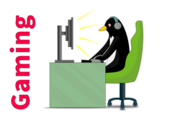 penguin working on a computer
