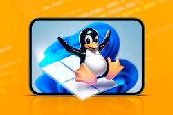 Penguin sliding on Windows