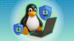 penguin with laptop and security symbol