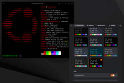 Fastfetch output when using Ptyxis on Ubuntu 25.04