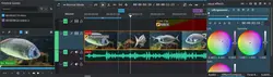 editor window