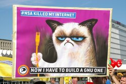 âGrumpy Cat builds a GNU Internetâ by greenoid is licensed under CC BY-SA 2.0.